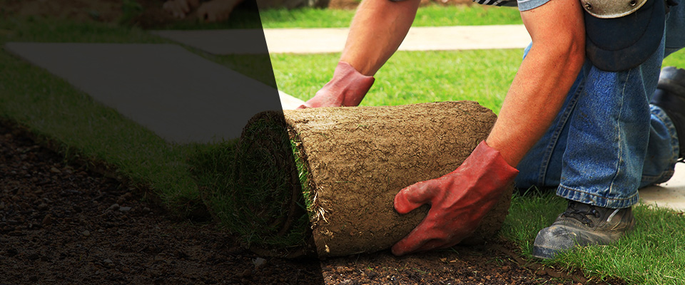Newbury Landscapers